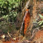 Menchu or Medicinal Springs in Bhutan: Beliefs and Benefits