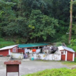 Gelephu Tshachu, a Hot Spring that cures Illnesses and gives Glowing Skin